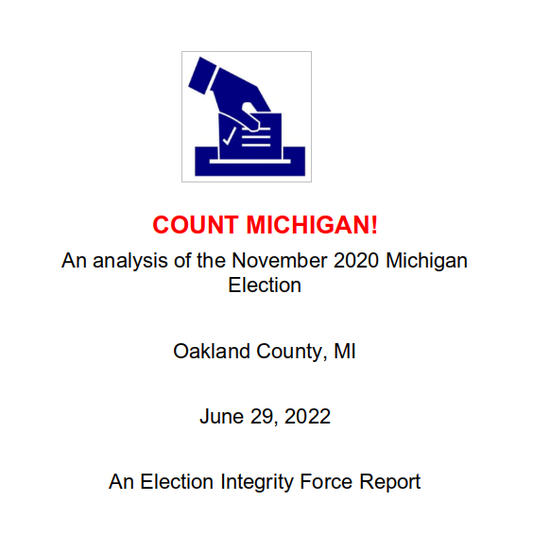 EIF 2020 Critical Analysis Report 6: Oakland County, MI