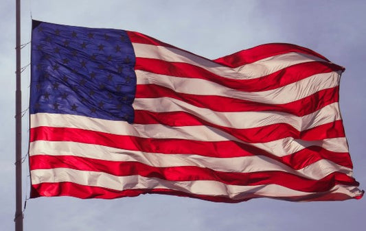 Michigan Election Evidence: Cyber Fraud