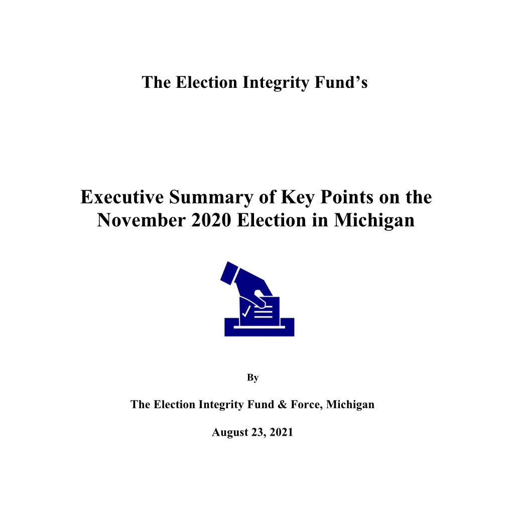 Executive Summary of Key Points on the November 2020 Election in Michigan